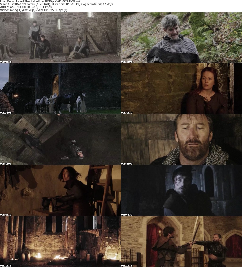 Robin Hood The Rebellion (2010) BRRip XviD AC3-EVO