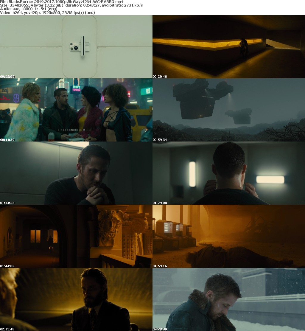 Blade Runner 2049 (2017) 1080p BluRay H264 AAC-RARBG