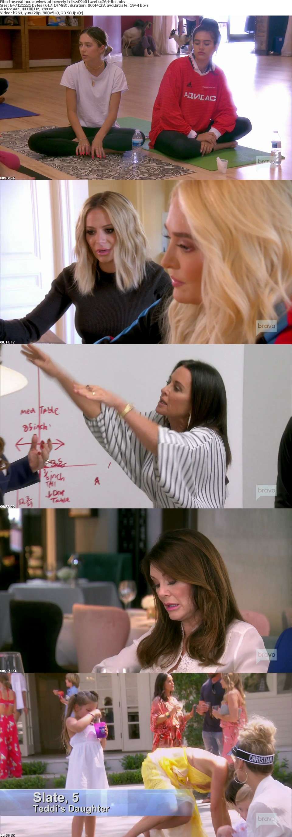 The Real Housewives of Beverly Hills S09E01 WEB x264-TBS The Real Housewives of Beverly Hills S09E01 WEB x264-TBS