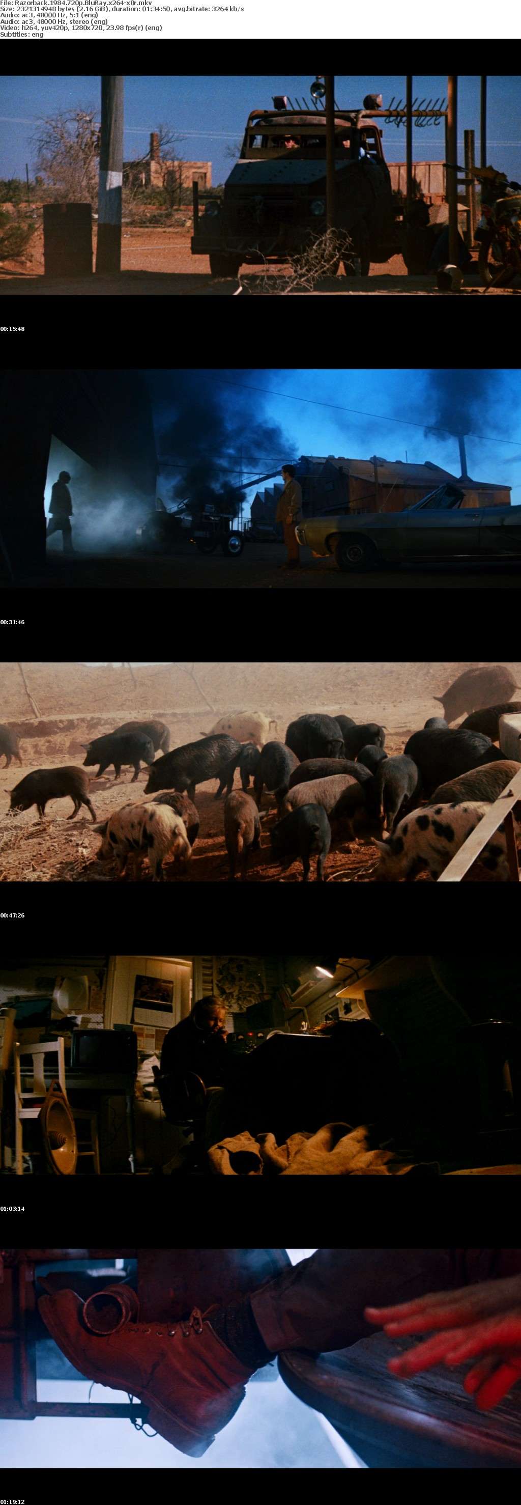 Razorback 1984 720p BluRay x264-x0r Razorback 1984 720p BluRay x264-x0r