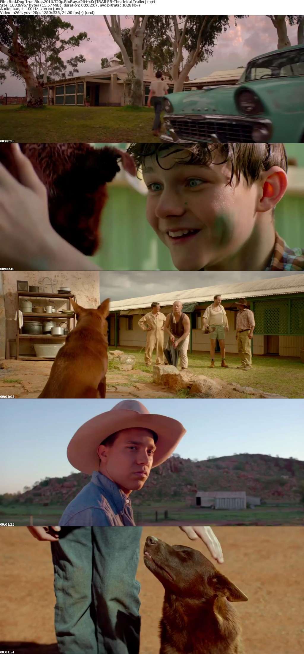 Red Dog True Blue 2016 720p BluRay x264-x0r Red Dog True Blue 2016 720p BluRay x264-x0r