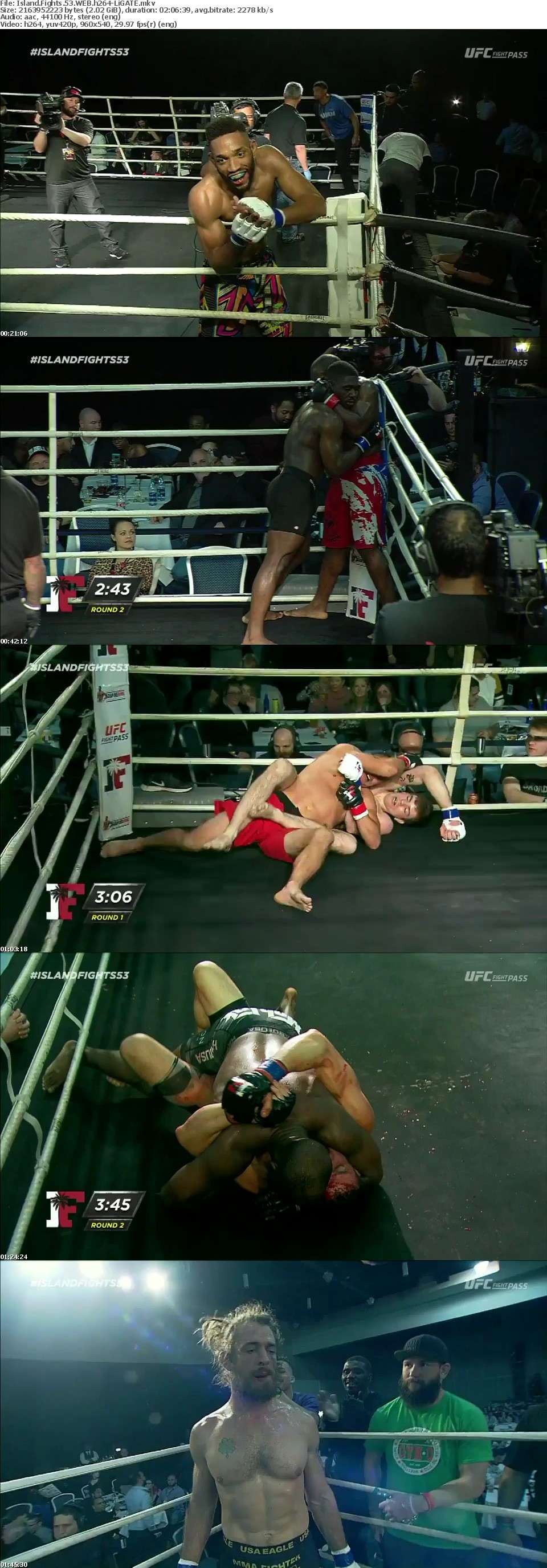 Island Fights 53 WEB h264-LiGATE Island Fights 53 WEB h264-LiGATE