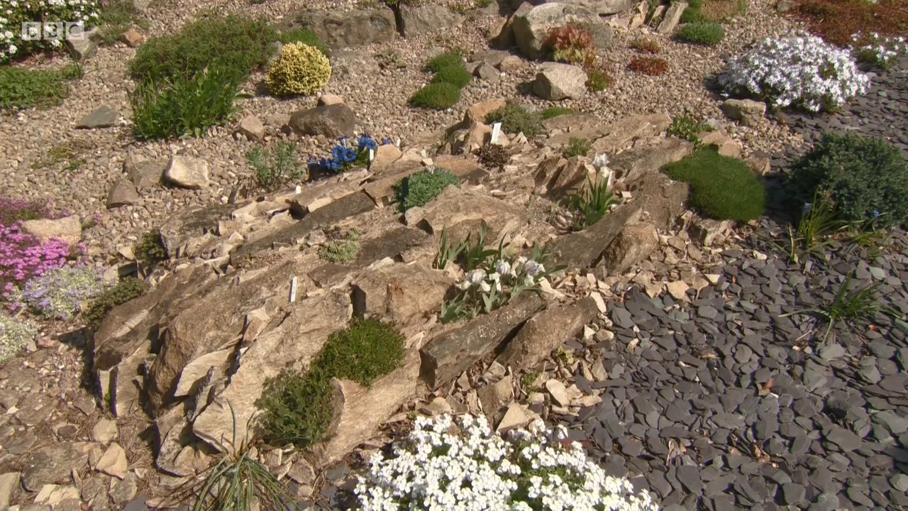 The Beechgrove Garden S41E03 Episode 3 720p iP WEB-DL AAC2 0 H 264-SOIL The Beechgrove Garden S41E03 Episode 3 720p iP WEB-DL AAC2 0 H 264-SOIL