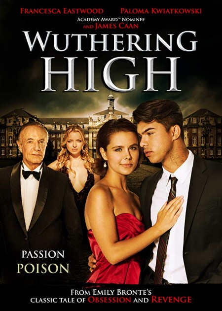 Wuthering High (2015) BRRip XviD MP3-XVID