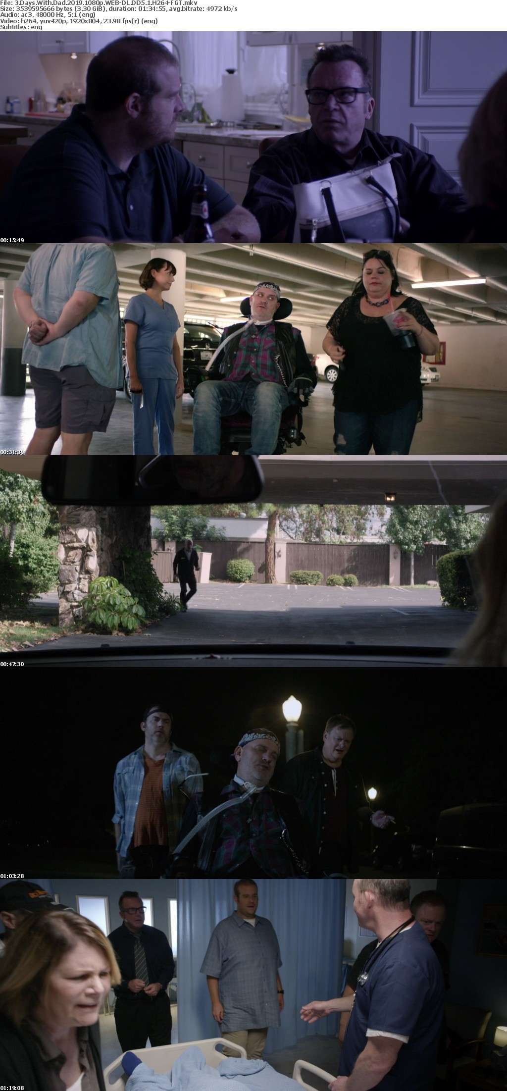 3 Days With Dad 2019 1080p WEB-DL DD5 1 H264-FGT 3 Days With Dad 2019 1080p WEB-DL DD5 1 H264-FGT