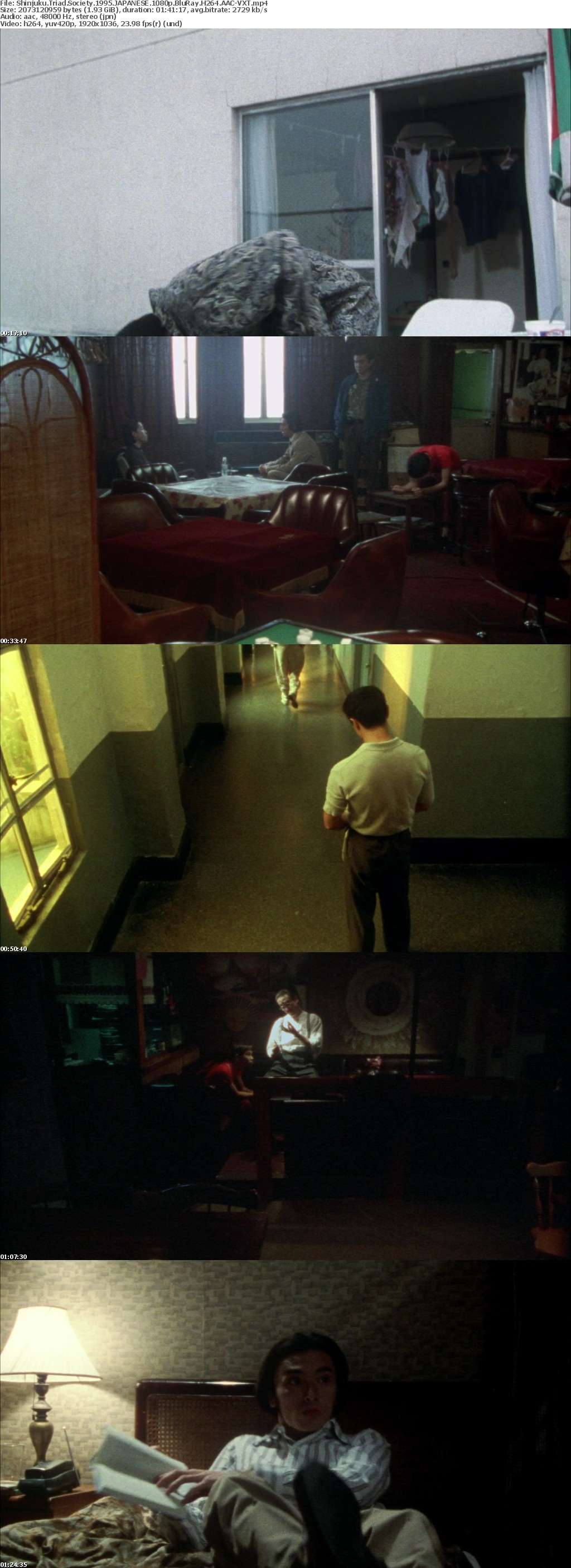 Shinjuku Triad Society 1995 JAPANESE 1080p BluRay H264 AAC-VXT Shinjuku Triad Society 1995 JAPANESE 1080p BluRay H264 AAC-VXT