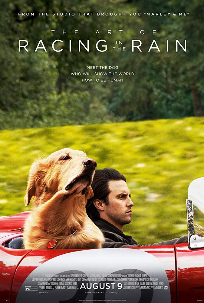The Art of Racing in the Rain 2019 1080p BluRay x264-DRONES The Art of Racing in the Rain 2019 1080p BluRay x264-DRONES