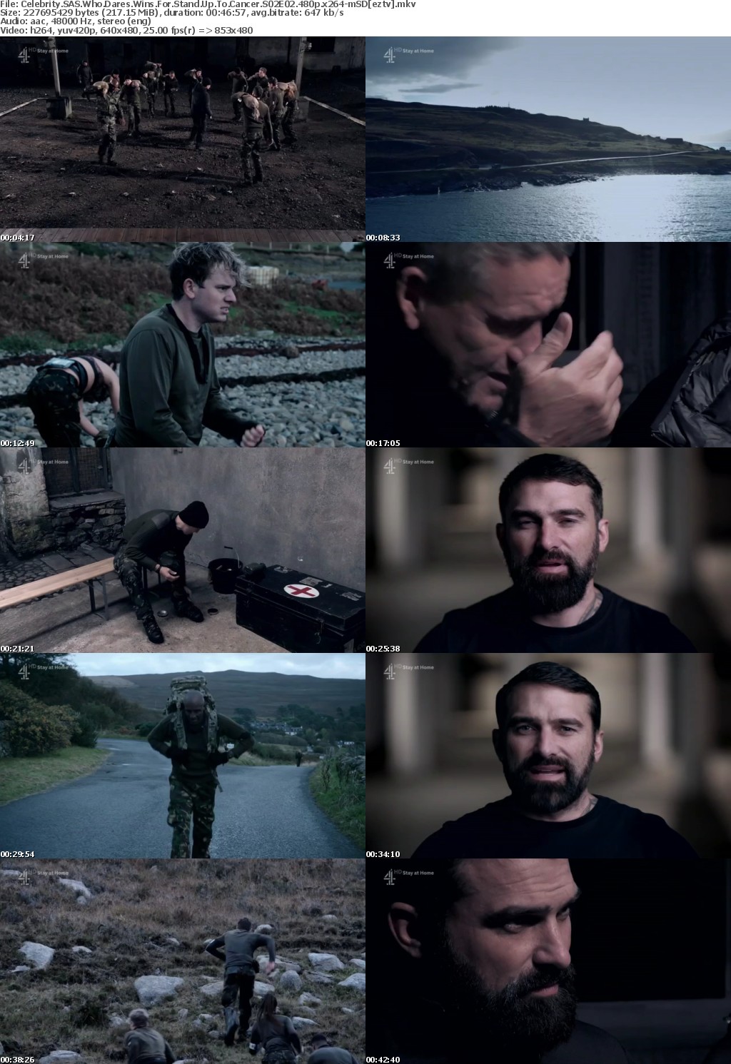 Celebrity SAS Who Dares Wins For Stand Up To Cancer S02E02 480p x264-mSD