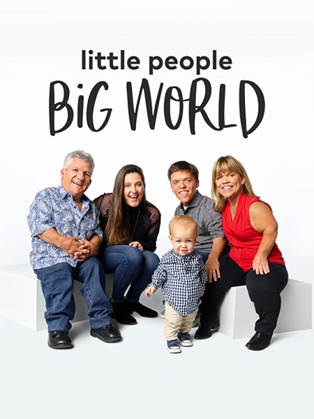 Little People Big World S20E07 480p x264-mSD