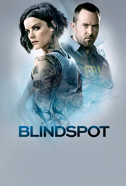 Blindspot S05E02 480p x264-mSD