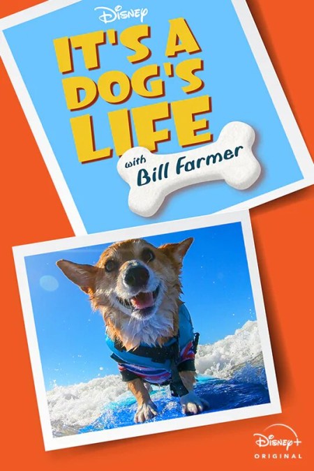Its A Dogs Life With Bill Farmer S01E01 720p WEB h264-ASCENDANCE