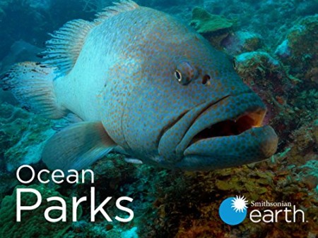 Ocean Parks S01E03 Monterey Bay Marine Sanctuary WEB h264-CAFFEiNE