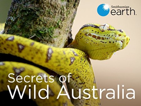 Secrets of Wild Australia S01E05 Mini Marsupials 480p x264-mSD