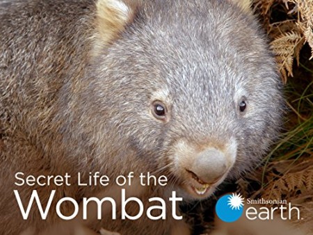 Secret Life of the Wombat S01E02 A Joeys Journey XviD-AFG