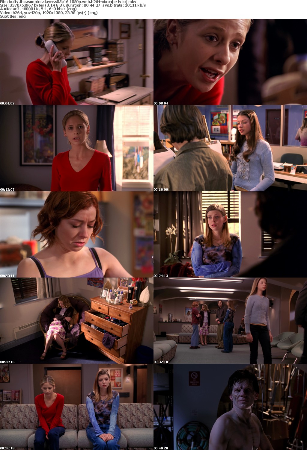 Buffy the Vampire Slayer S05E16 1080p WEB h264-NiXON