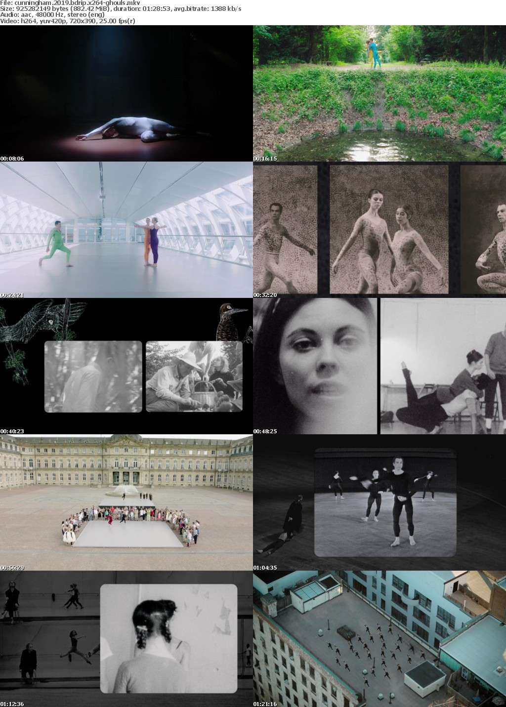 Cunningham 2019 BDRip x264-GHOULS Cunningham 2019 BDRip x264-GHOULS