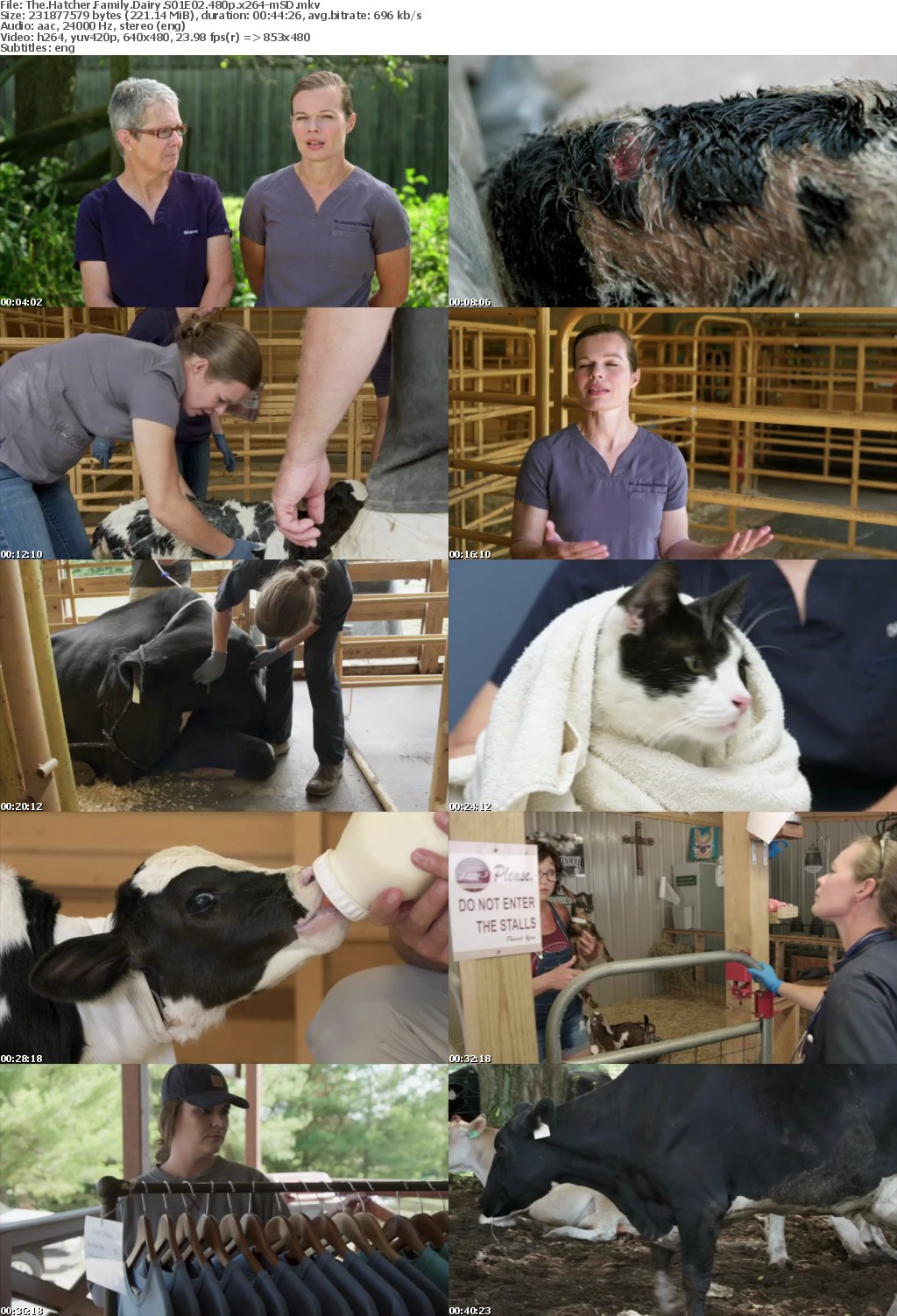 The Hatcher Family Dairy S01E02 480p x264-mSD
