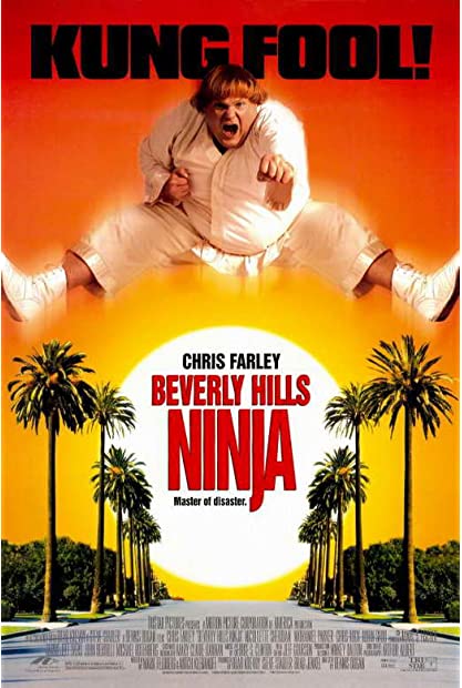 Beverly hills ninja 1997 720p BluRay x264 MoviesFD