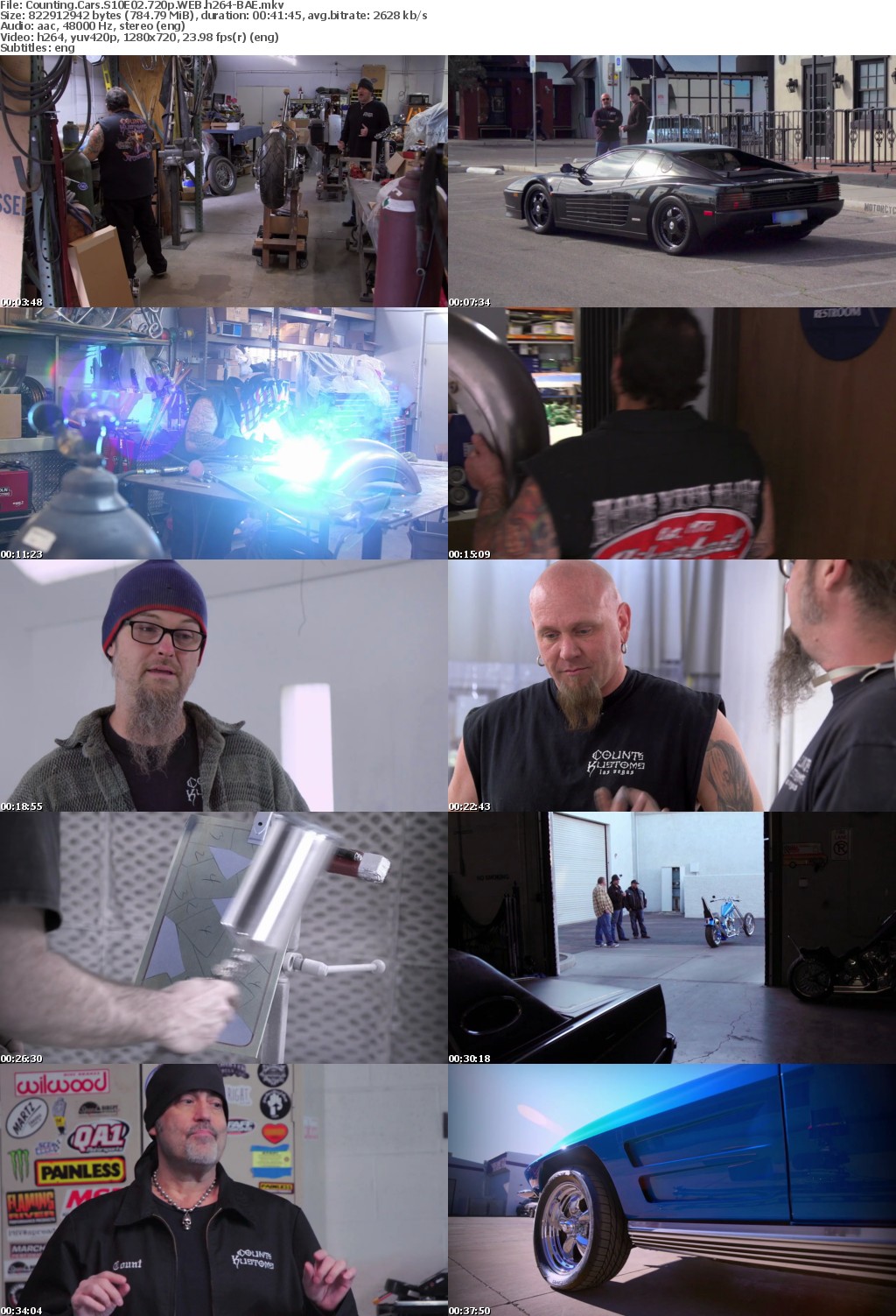 Counting Cars S10E02 720p WEB h264-BAE