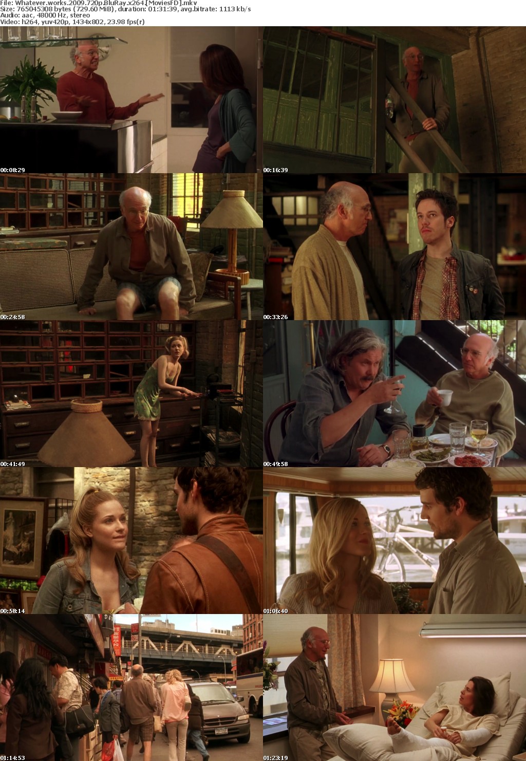 Whatever Works (2009) 720p BluRay x264 - MoviesFD