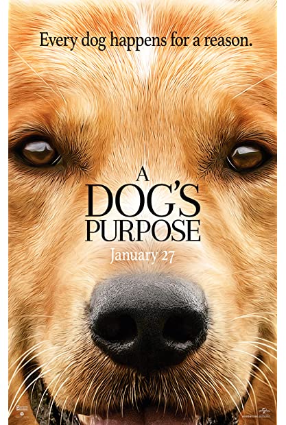 A Dog's Purpose (2017) 720p BluRay x264 - MoviesFD