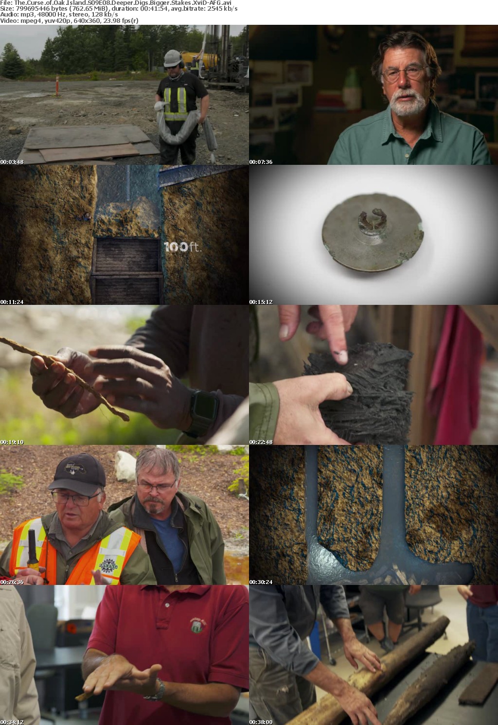 The Curse of Oak Island S09E08 Deeper Digs Bigger Stakes XviD-AFG