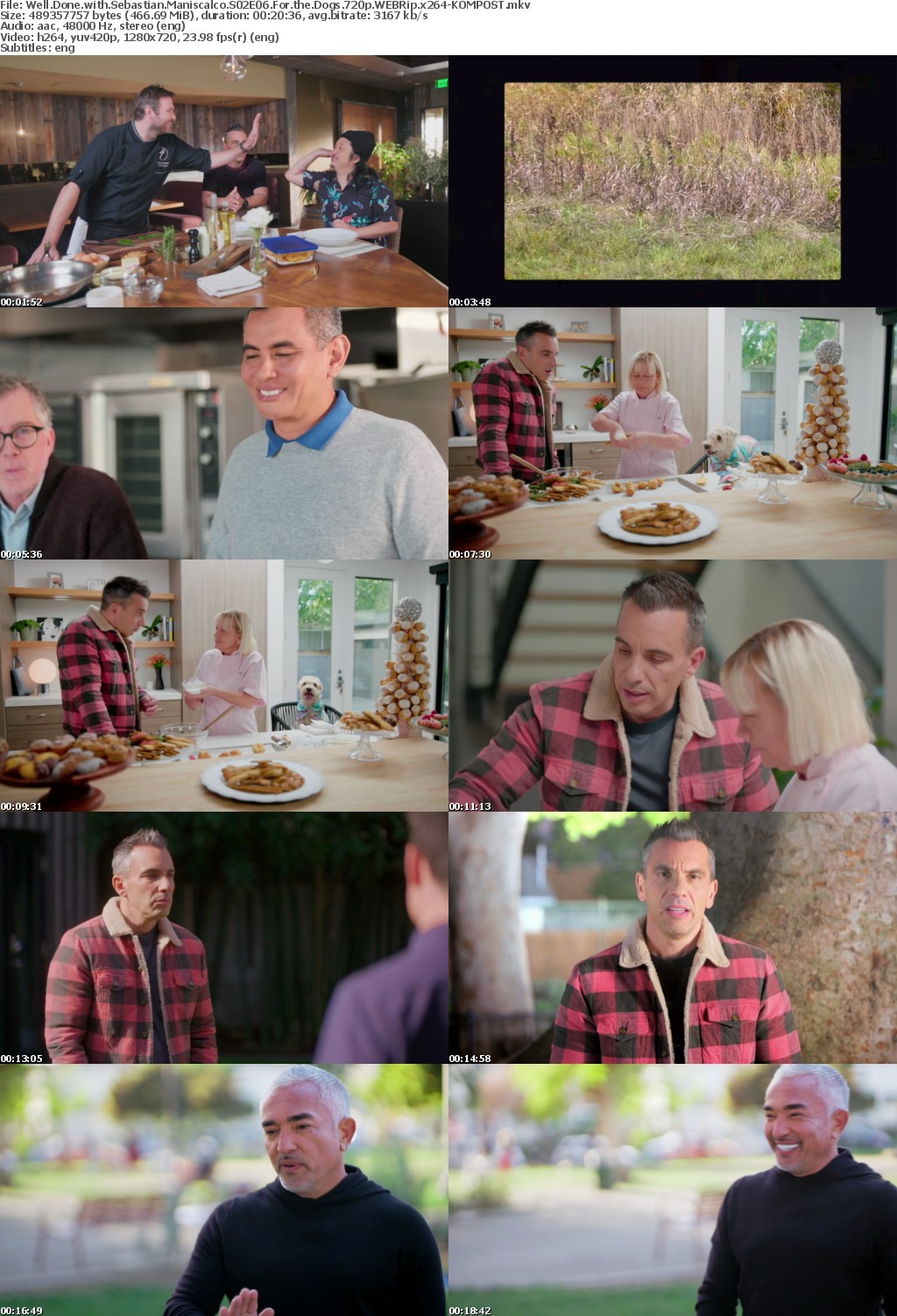 Well Done with Sebastian Maniscalco S02E06 For the Dogs 720p WEBRip x264-KOMPOST