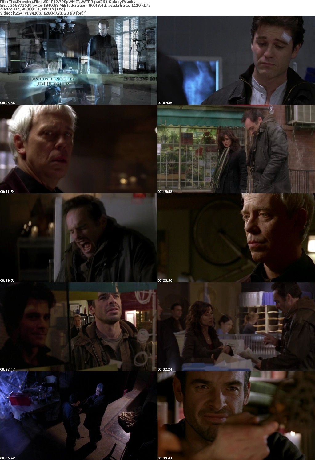 The Dresden Files S01 COMPLETE 720p AMZN WEBRip x264-GalaxyTV