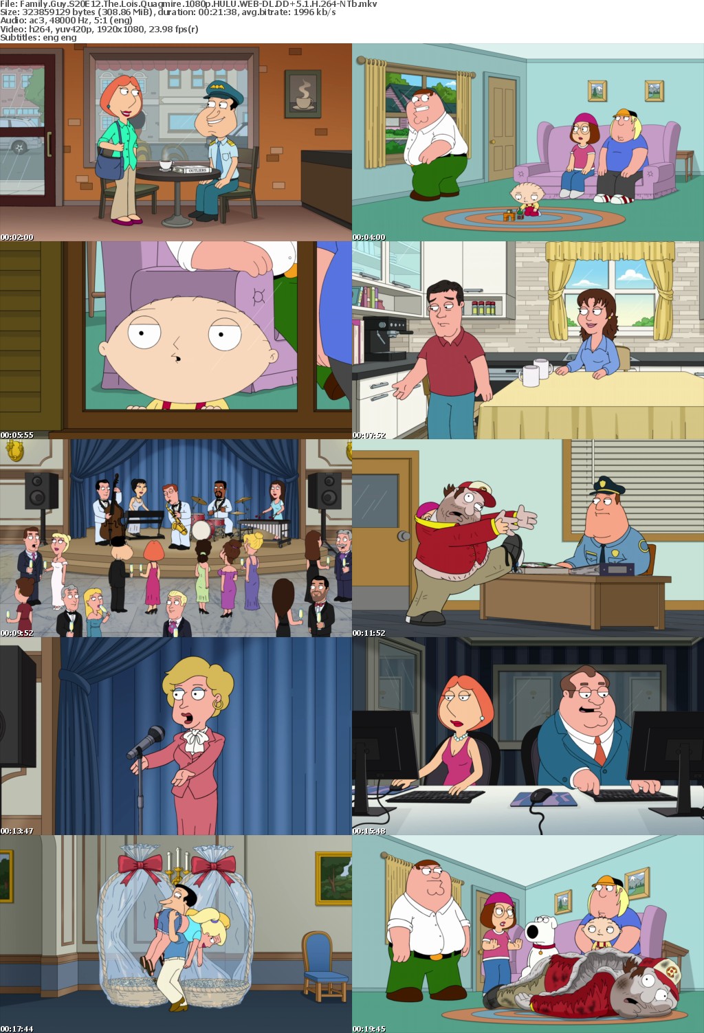 Family Guy S20E12 The Lois Quagmire 1080p HULU WEBRip DDP5 1 x264-NTb