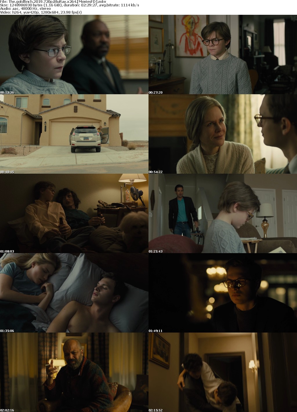 The Goldfinch (2019) 720p BluRay x264 - MoviesFD