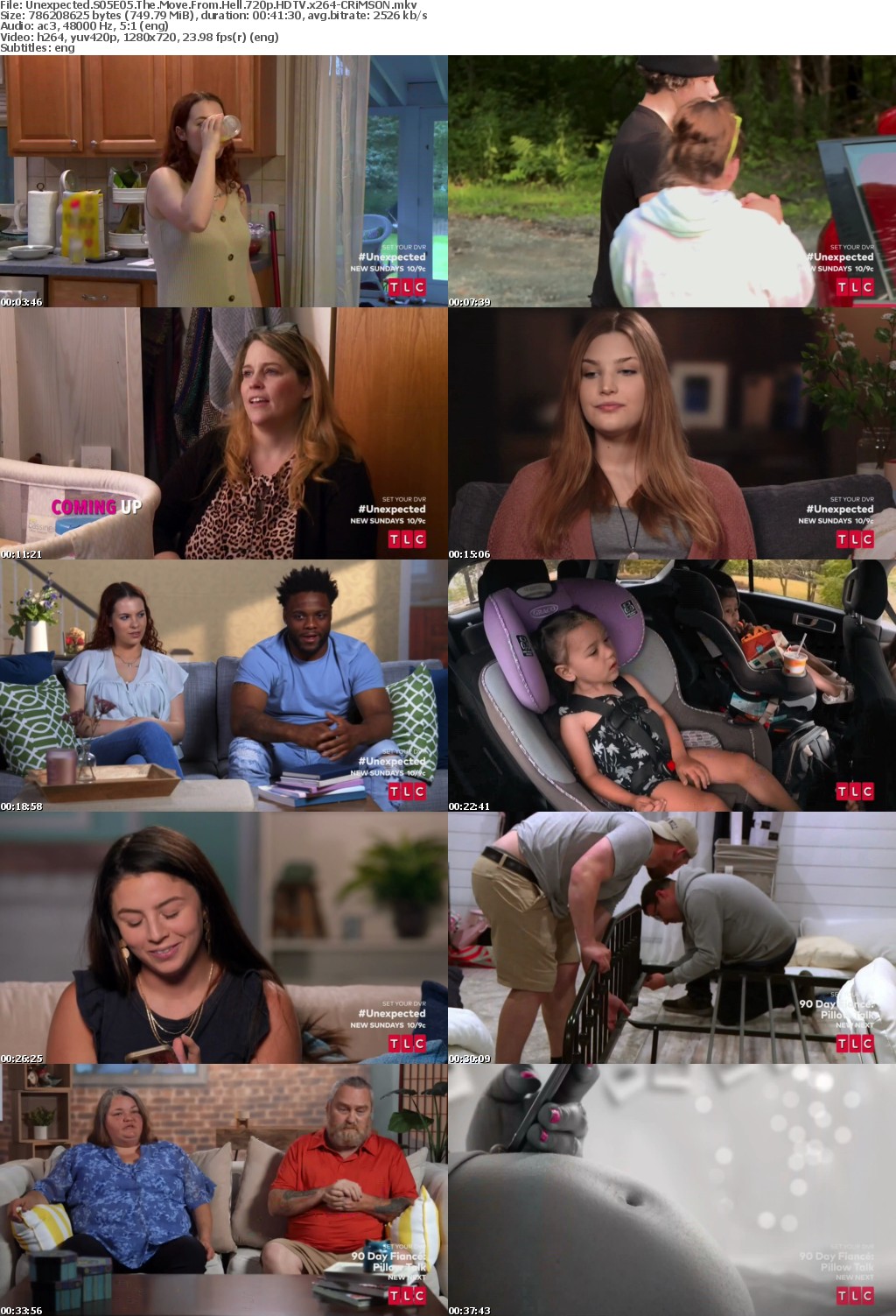Unexpected S05E05 The Move From Hell 720p HDTV x264-CRiMSON