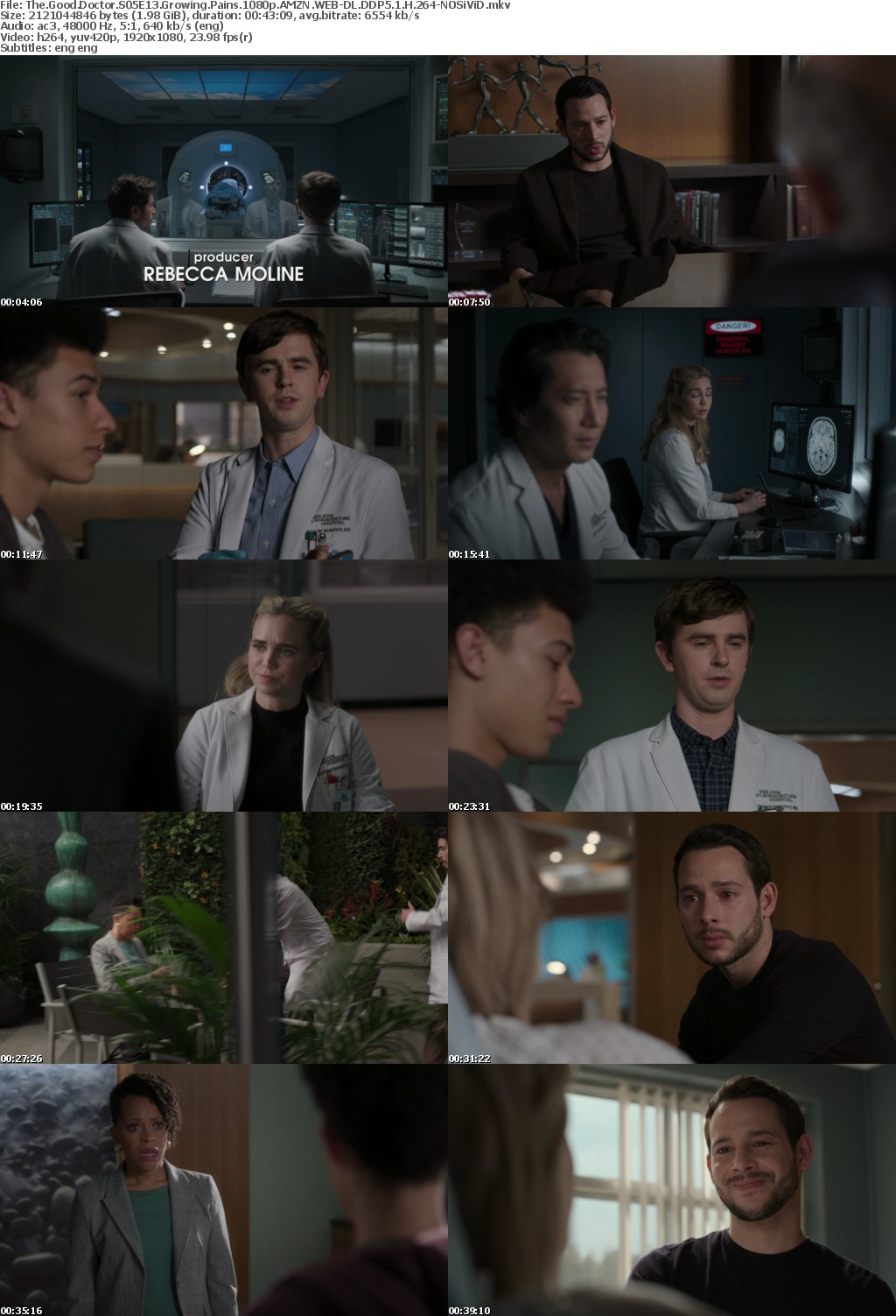 The Good Doctor S05E13 Growing Pains 1080p AMZN WEBRip DDP5 1 x264-NOSiViD