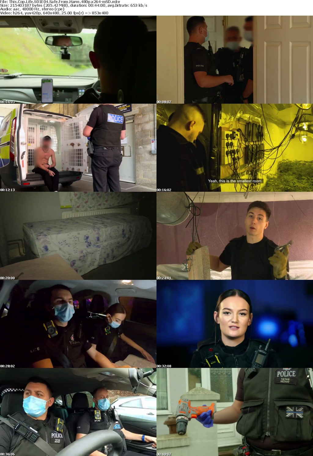 This Cop Life S01E04 Safe From Harm 480p x264-mSD