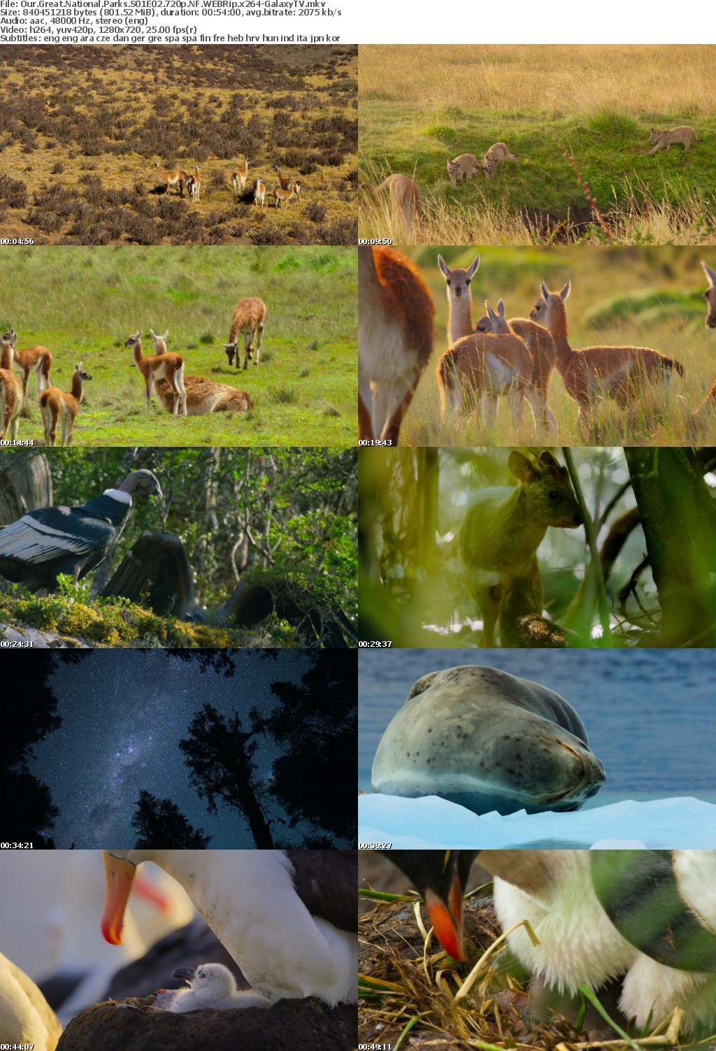 Our Great National Parks S01 COMPLETE 720p NF WEBRip x264-GalaxyTV