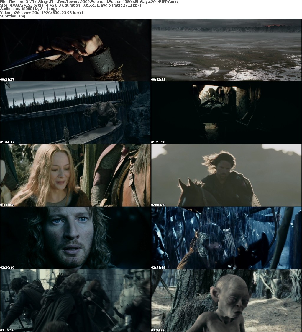 The Lord Of The Rings The Two Towers 2002 Extended Edition 1080p BluRay x264-RiPPY