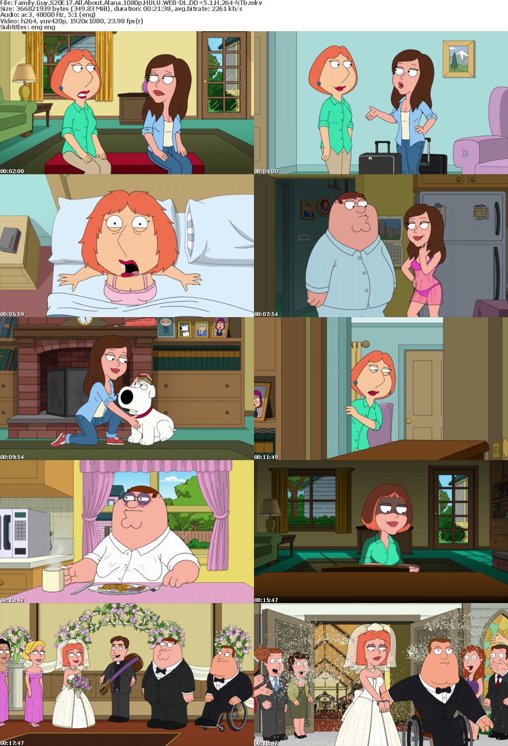 Family Guy S20E17 All About Alana 1080p HULU WEBRip DDP5 1 x264-NTb