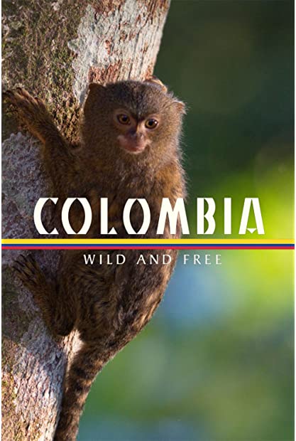 Colombia Wild and Free S01E01 720p WEBRip x264-BAE