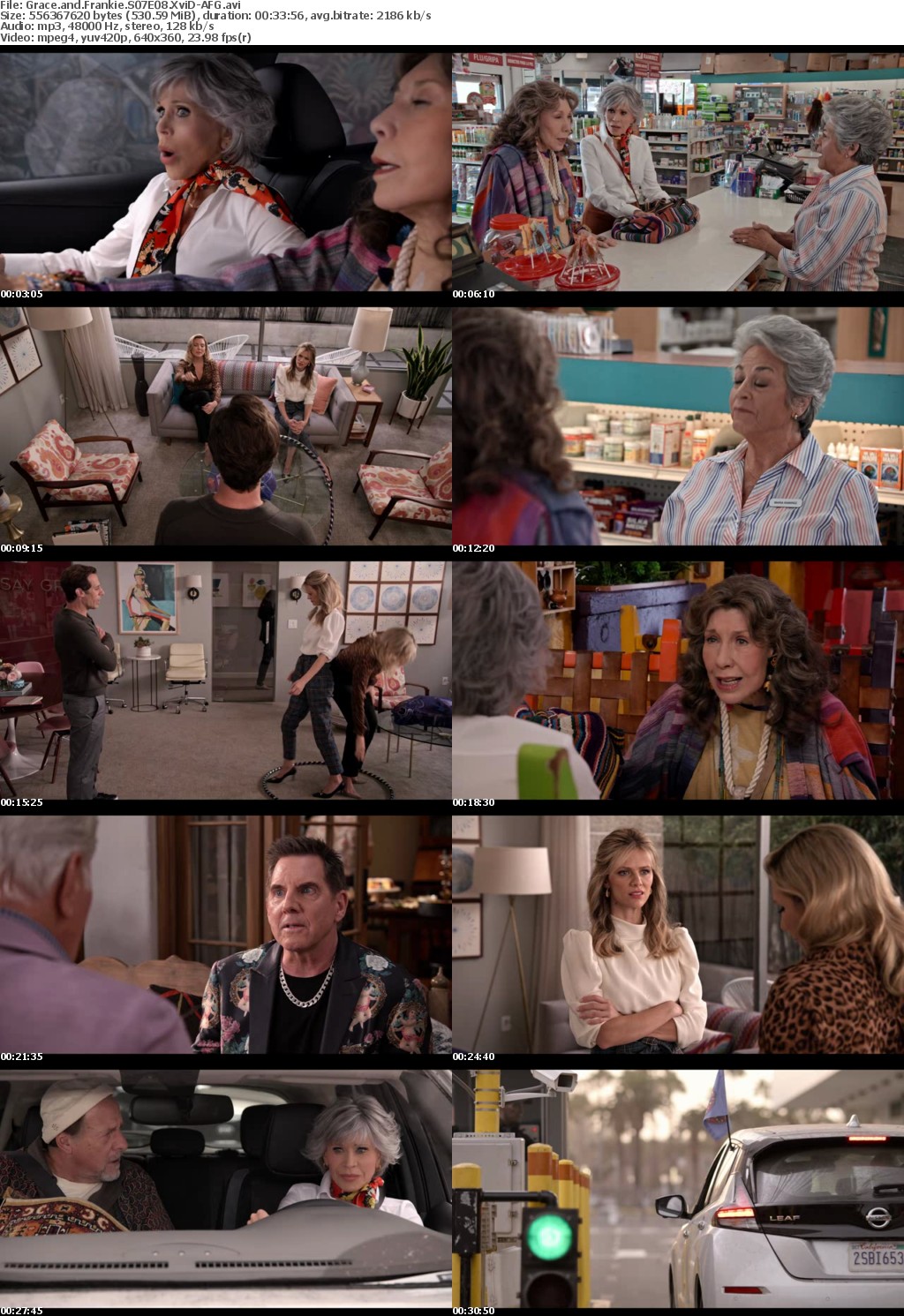 Grace and Frankie S07E08 XviD-AFG
