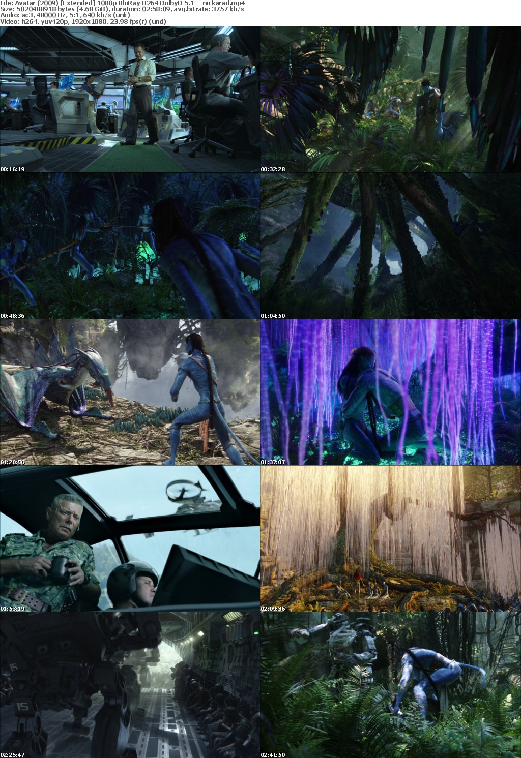 Avatar (2009) 1080p BluRay H264 DolbyD 5 1 nickarad
