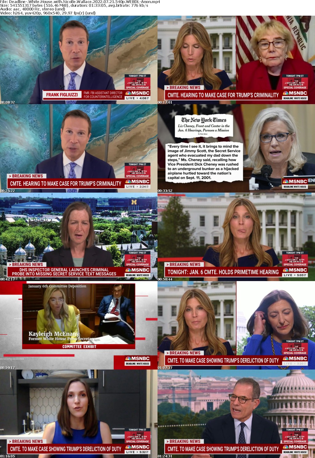 Deadline- White House with Nicolle Wallace 2022 07 21 540p WEBDL-Anon