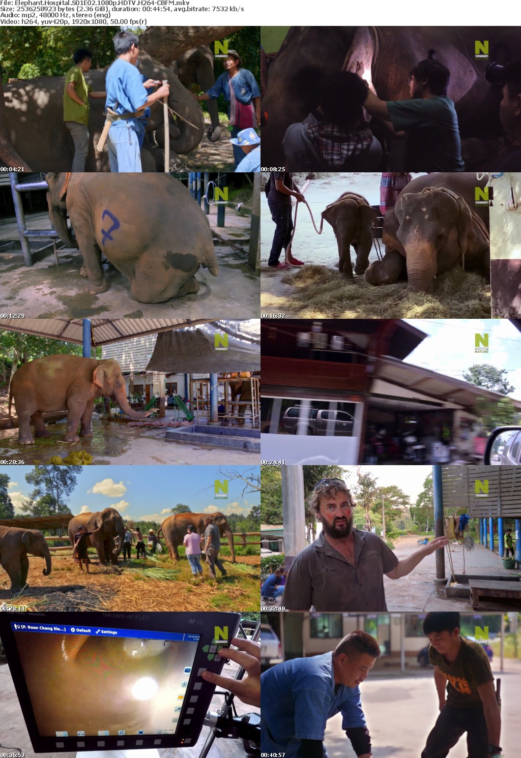 Elephant Hospital S01 1080p HDTV H264-DARKFLiX