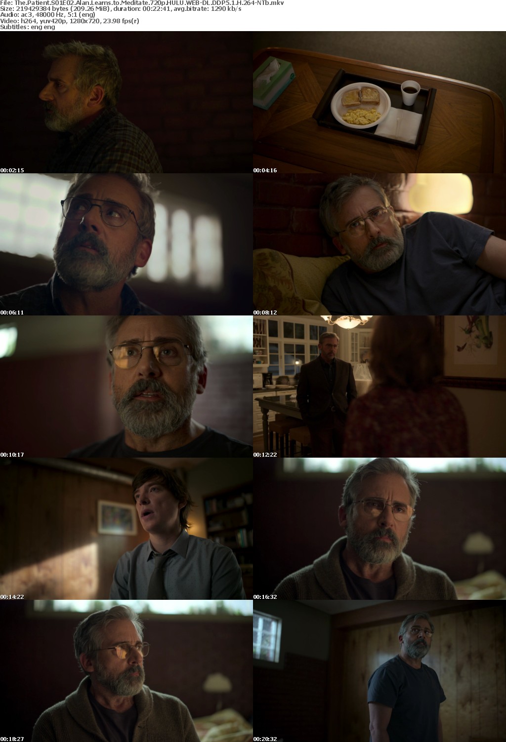 The Patient S01E02 Alan Learns to Meditate 720p HULU WEBRip DDP5 1 x264-NTb