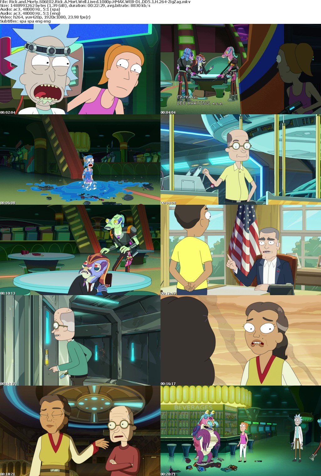 Rick and Morty S06E02 Rick A Mort Well Lived 1080p HMAX WEB-DL DUAL AUDIO DD5 1 H 264-ZigZag