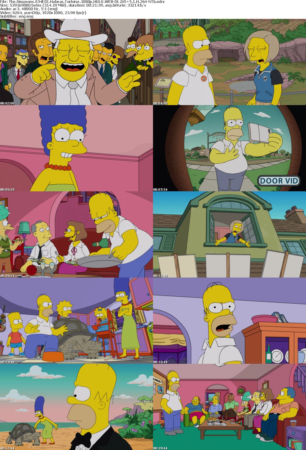 The Simpsons S34E01 Habeas Tortoise 1080p HULU WEBRip DDP5 1 x264-NTb