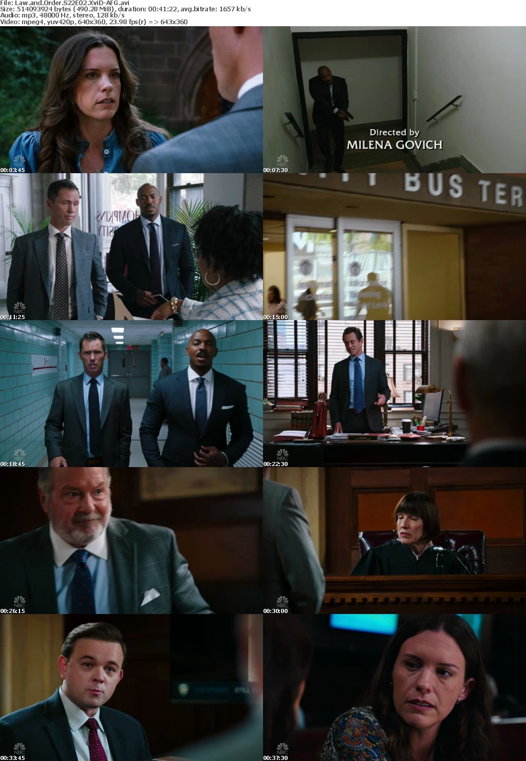 Law and Order S22E02 XviD-AFG