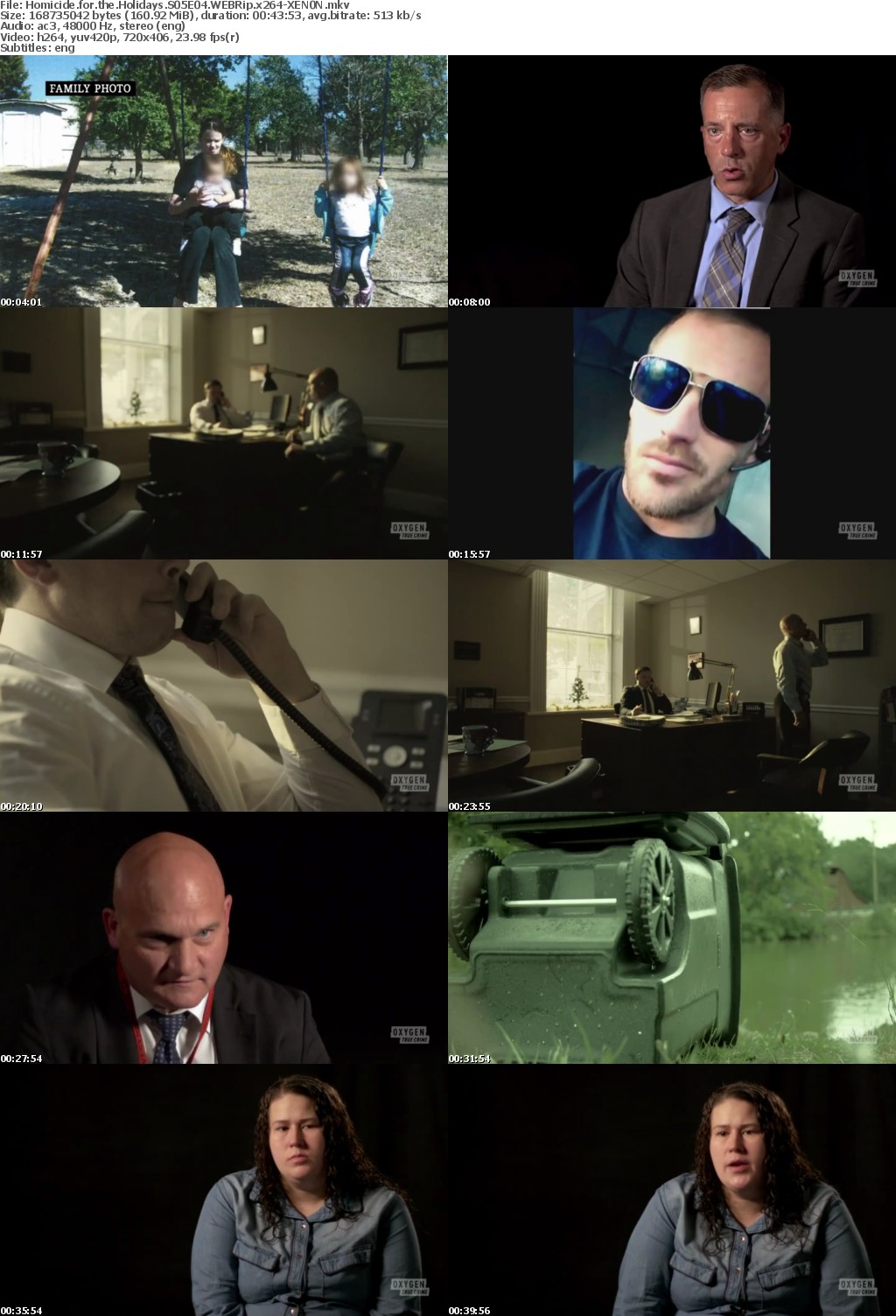 Homicide for the Holidays S05E04 WEBRip x264-XEN0N