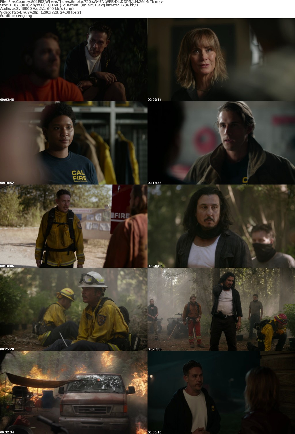 Fire Country S01E03 Where Theres Smoke 720p AMZN WEBRip DDP5 1 x264-NTb
