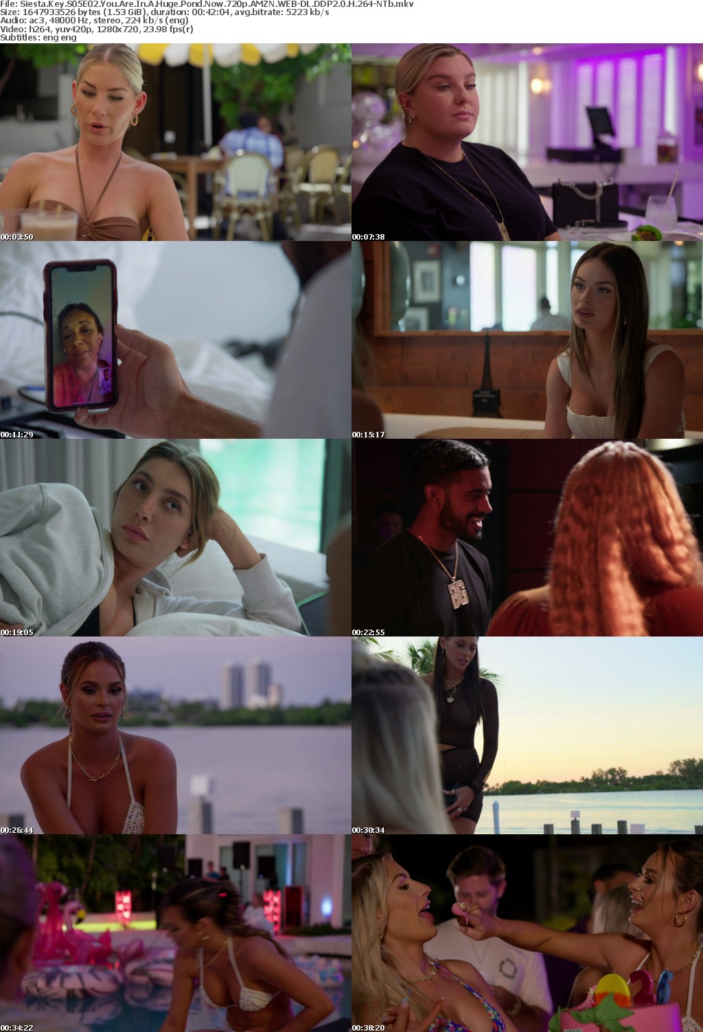Siesta Key S05E02 You Are In A Huge Pond Now 720p AMZN WEBRip DDP2 0 x264-NTb