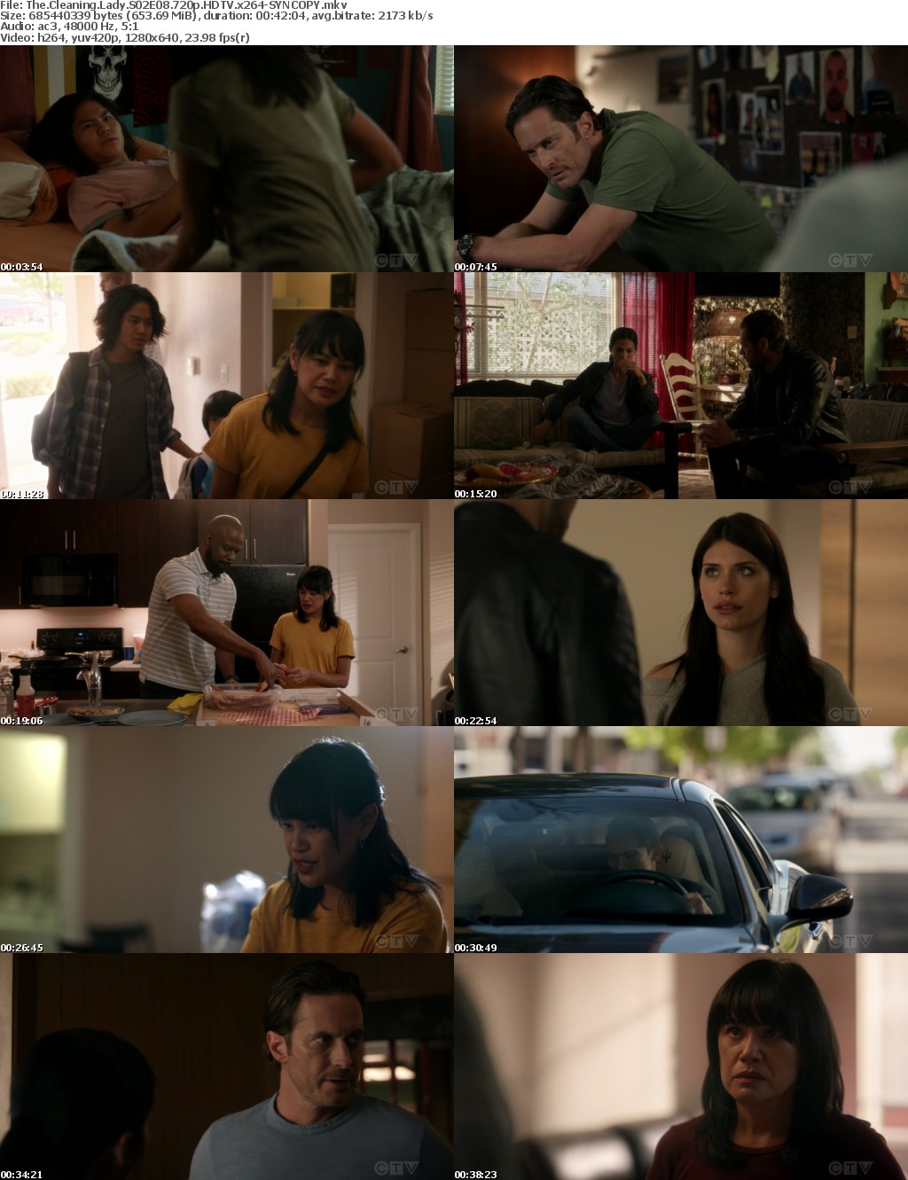 The Cleaning Lady S02E08 720p HDTV x264-SYNCOPY