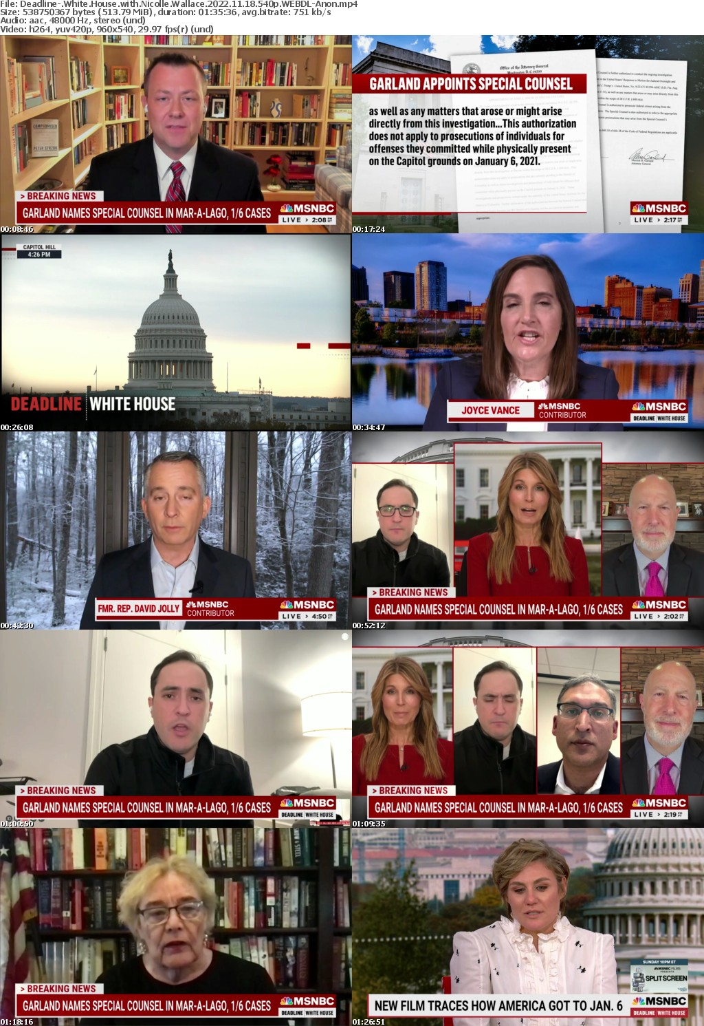 Deadline- White House with Nicolle Wallace 2022 11 18 540p WEBDL-Anon